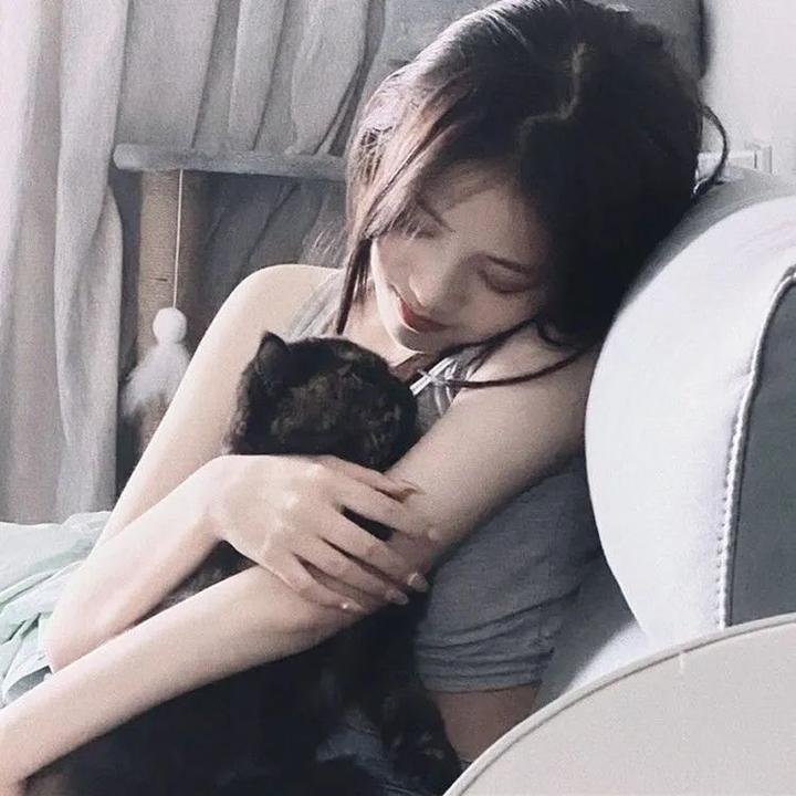 穿靴子的猫：萌猫三剑客