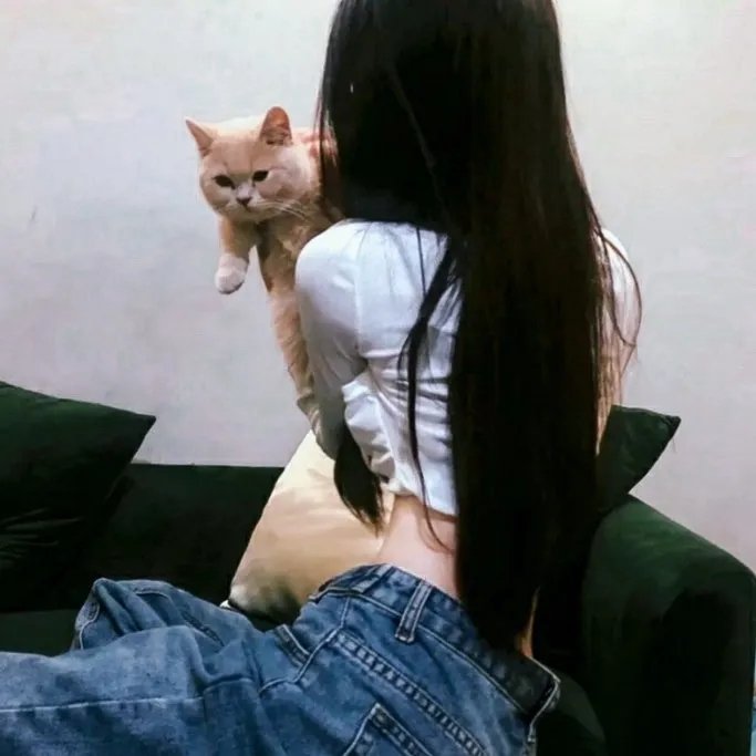 歌舞青春